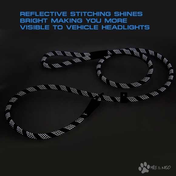 Dog Leash: 5-foot Reflective Nylon Rope Slip Lead, Teal - Picture 3 of 4